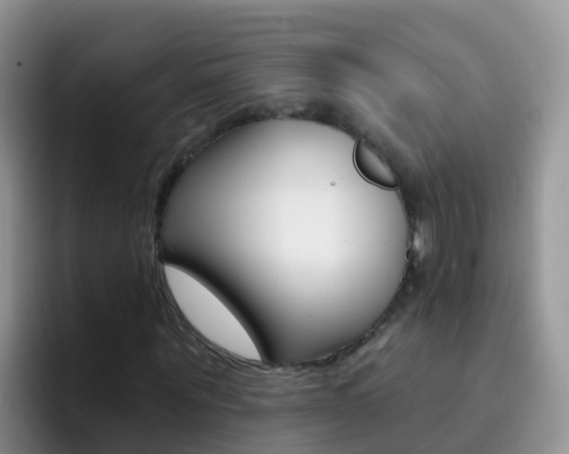X0000092300867200709140957