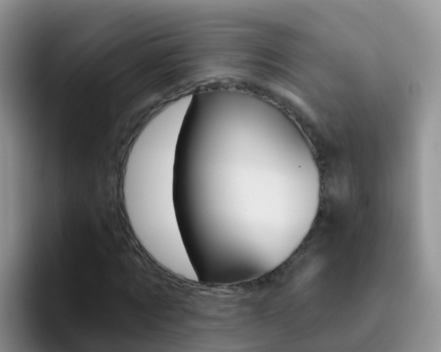 X0000092300869200709140957