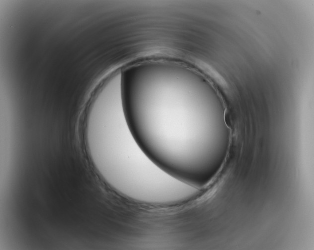 X0000092300877200709140956