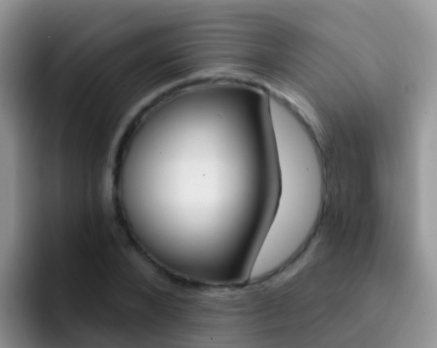 X0000092300880200709140956
