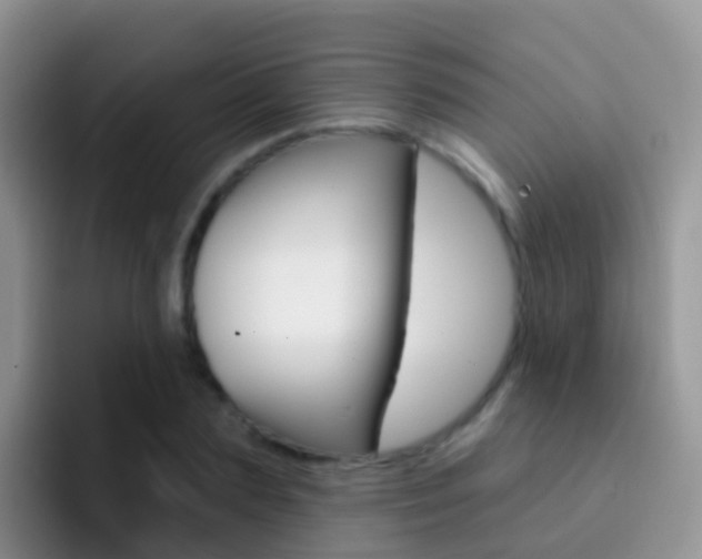 X0000092300883200709140956