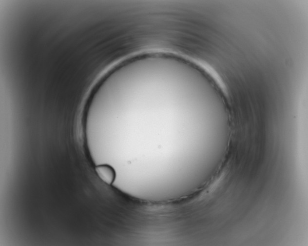 X0000092300887200709140956