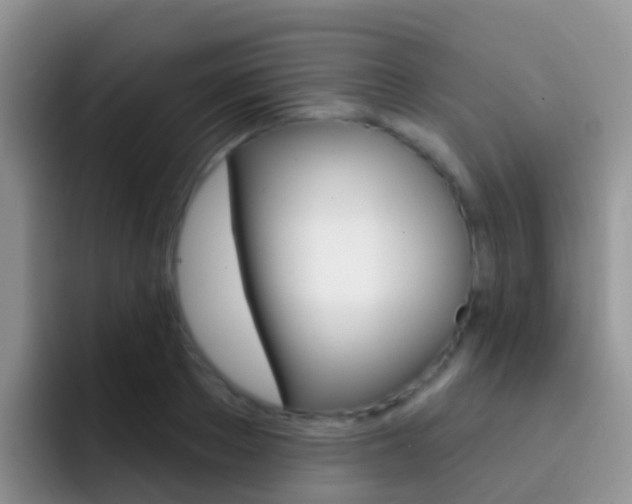 X0000092300889200709140956