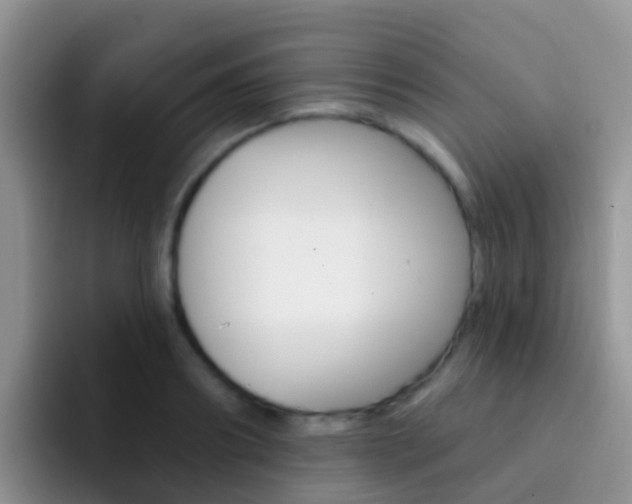 X0000092300890200709140956