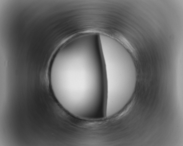 X0000092300892200709140956