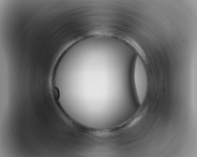 X0000092300893200709140956