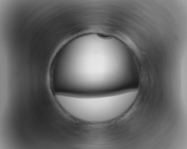 X0000092300896200709140956