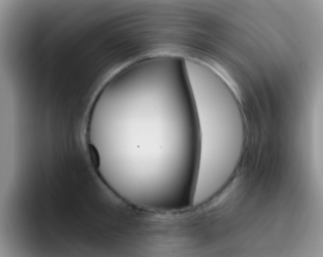 X0000092300901200709140956