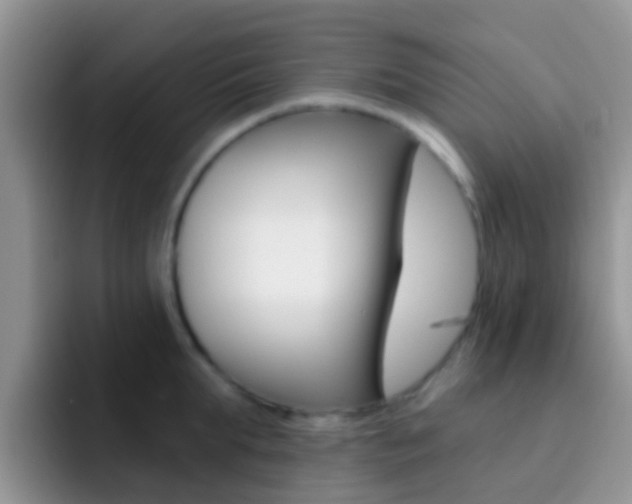 X0000092300903200709140956