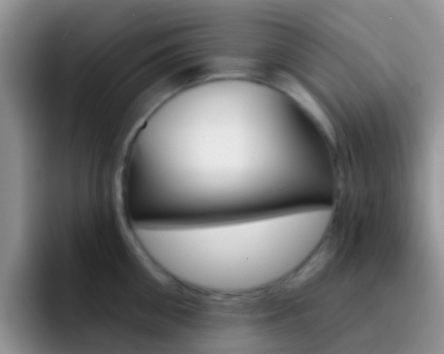 X0000092300906200709140956