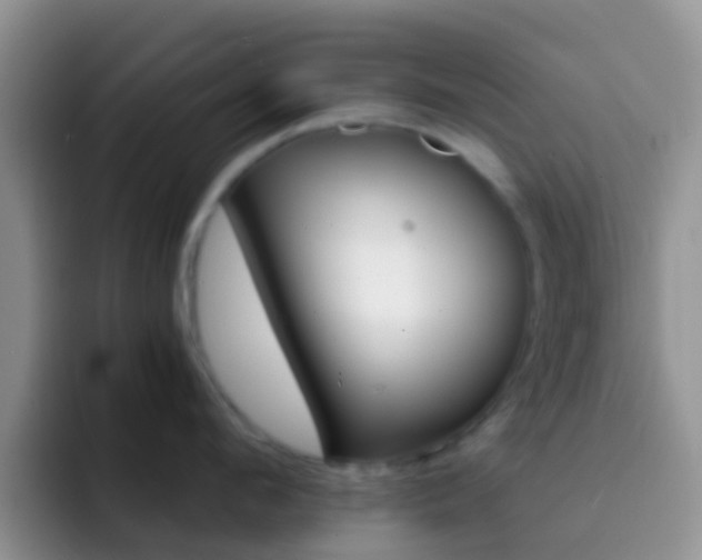 X0000092300912200709140956