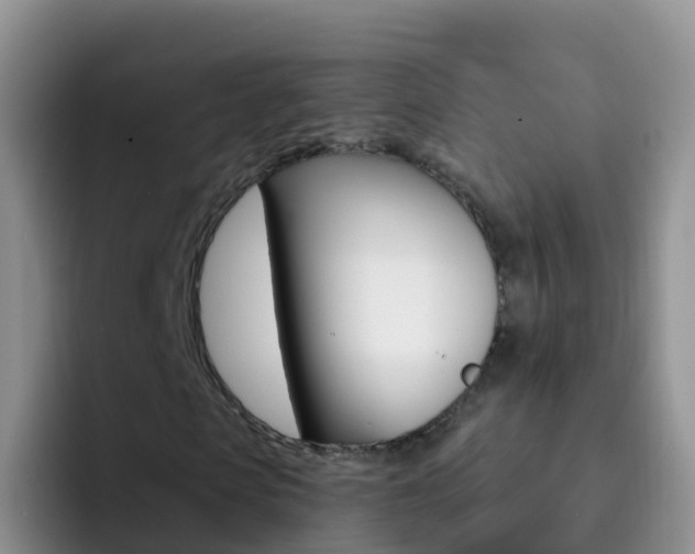 X0000092300913200709140956