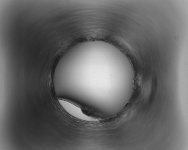 X0000092300915200709140956