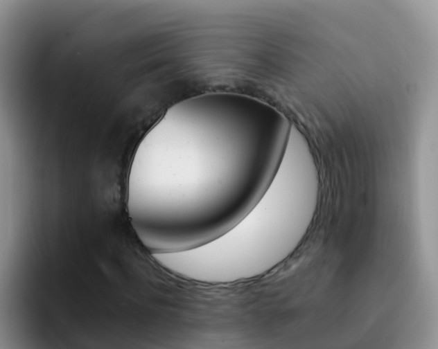 X0000092300916200709140956