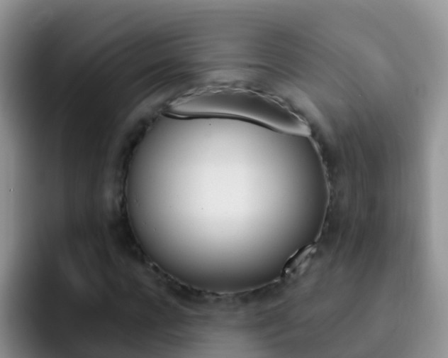 X0000092300920200709140956