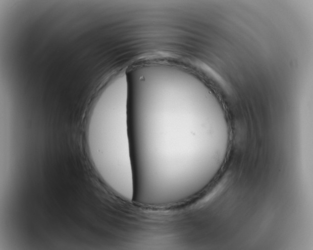 X0000092300921200709140956