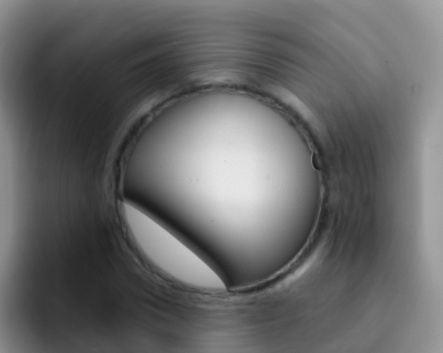 X0000092300922200709140956