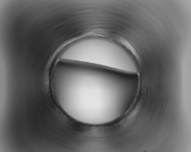 X0000092300923200709140956