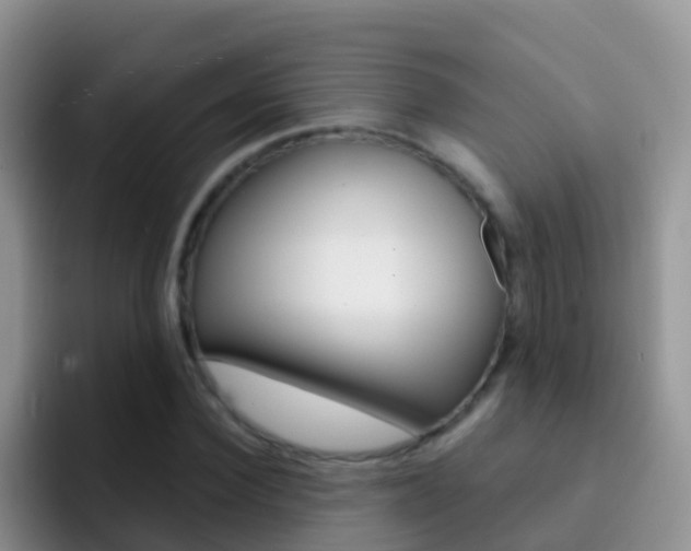 X0000092300924200709140956