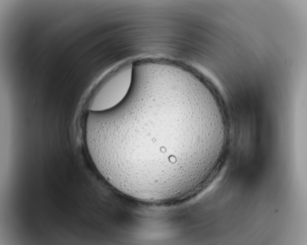 X0000092300925200709140956