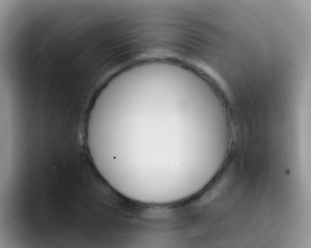X0000092300929200709140956