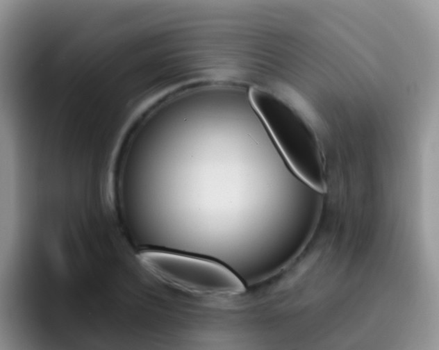 X0000092300932200709140956