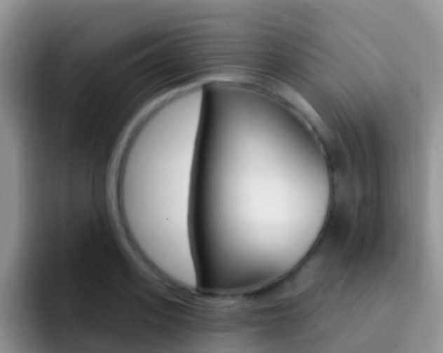 X0000092300939200709140956