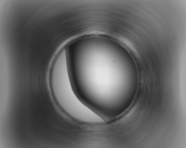 X0000092300942200709140956