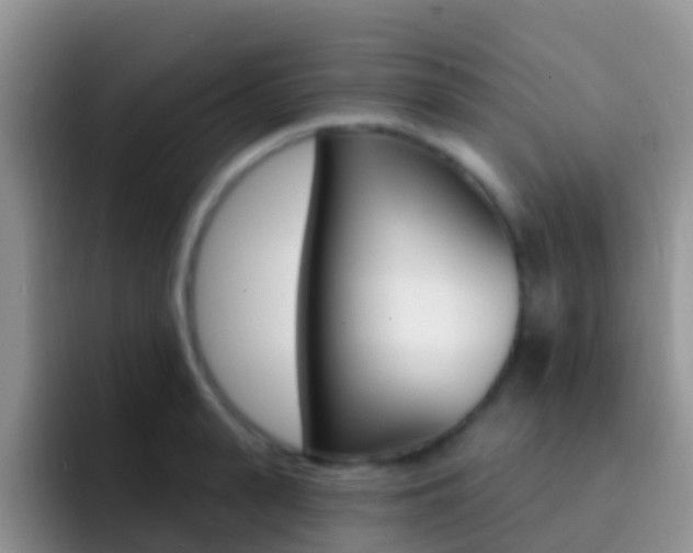 X0000092300943200709140956