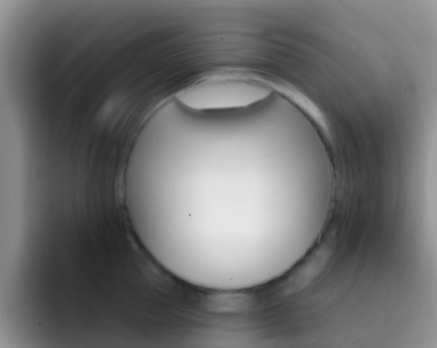 X0000092300953200709140956