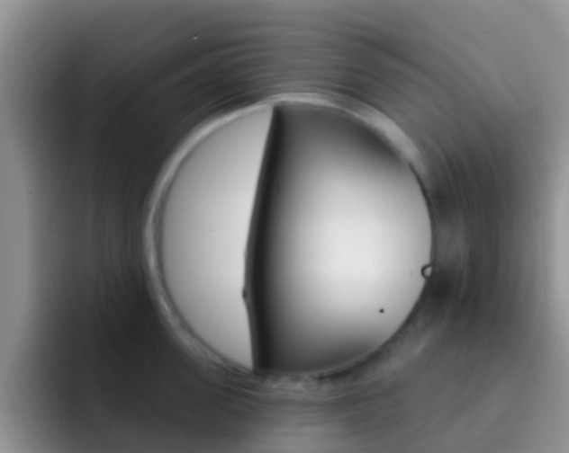 X0000092300955200709140956