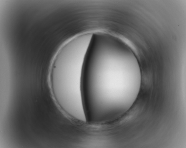X0000092300959200709140956