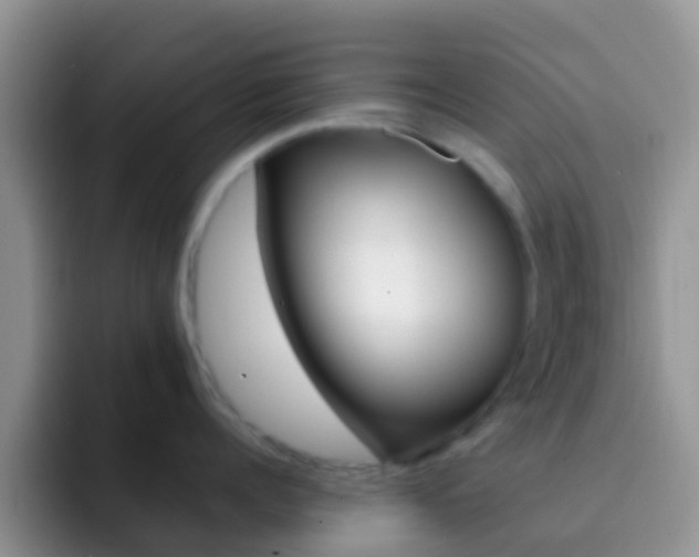 X0000092300960200709140956