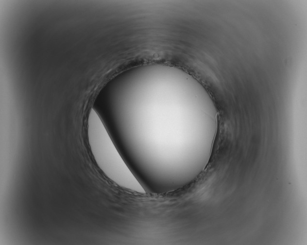 X0000092300961200709140956