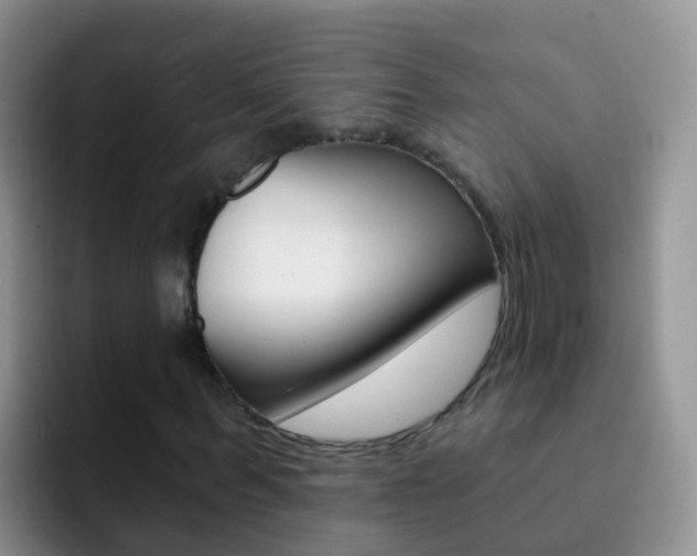X0000092300963200709140956
