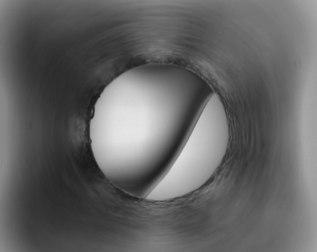X0000092300964200709140955