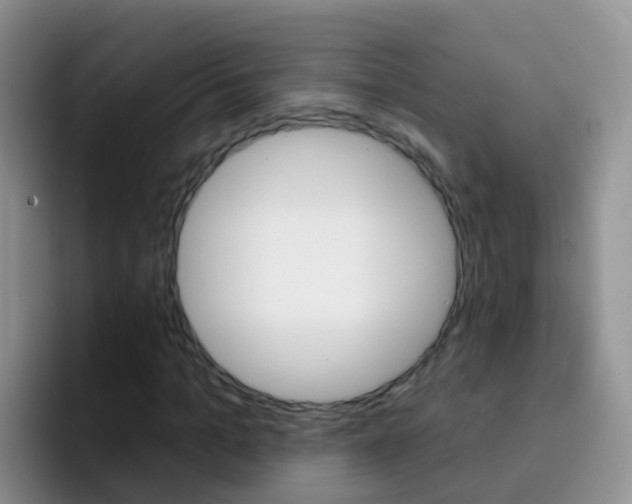 X0000092300965200709140955