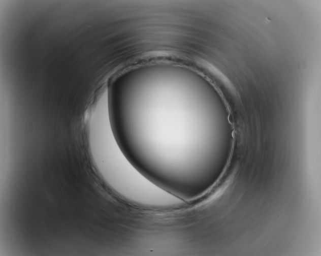X0000092300969200709140955
