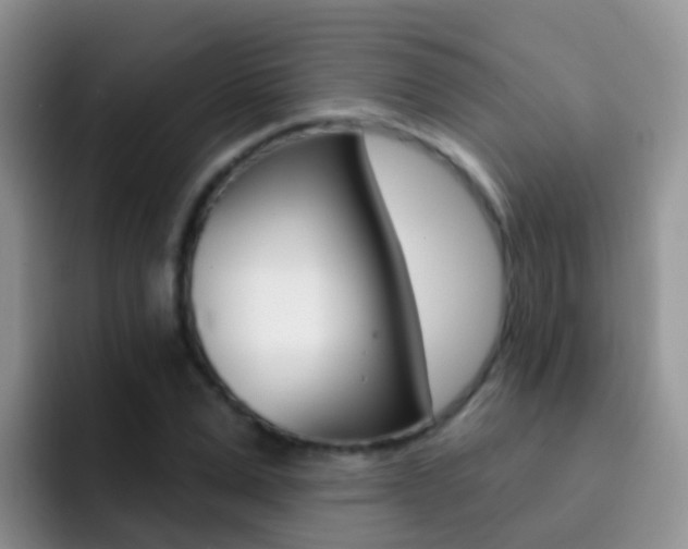 X0000092300975200709140955