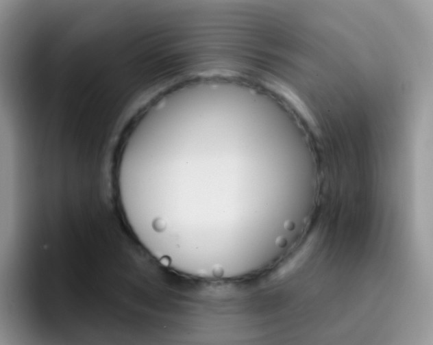 X0000092300978200709140955