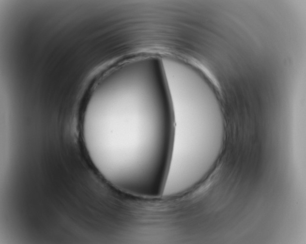 X0000092300979200709140955