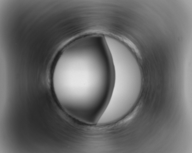 X0000092300981200709140955