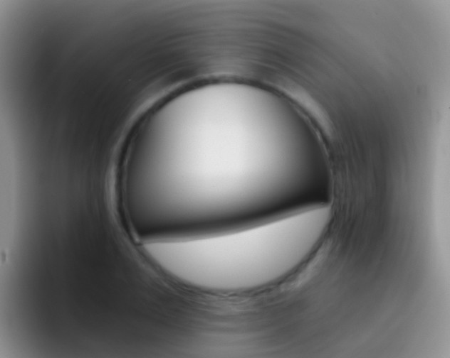 X0000092300983200709140955