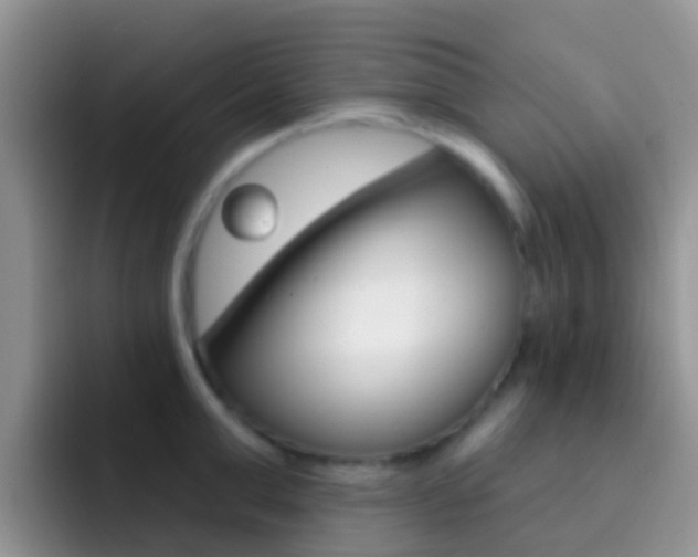 X0000092300999200709140955