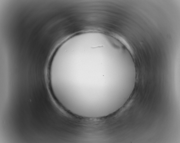 X0000092301003200709140955