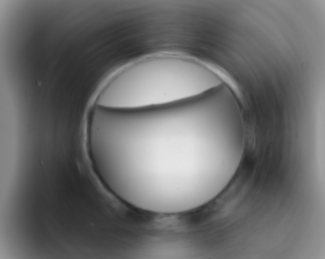 X0000092301006200709140955