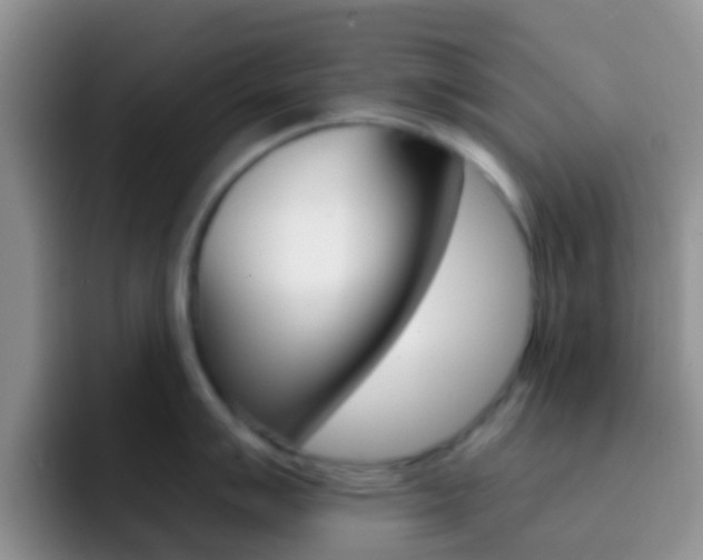 X0000092301007200709140955