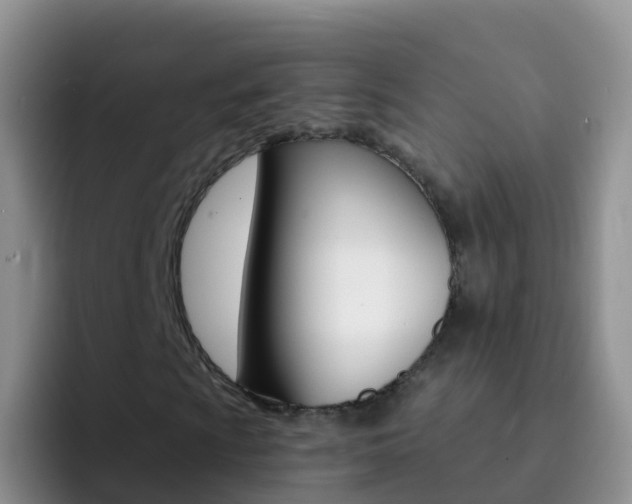 X0000092301009200709140954