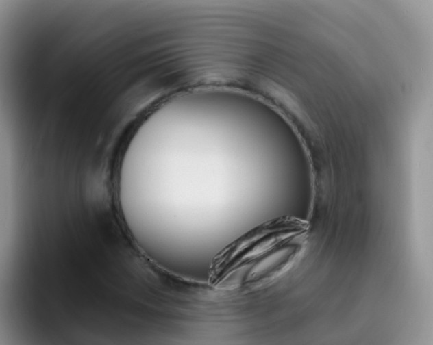 X0000092301018200709140955