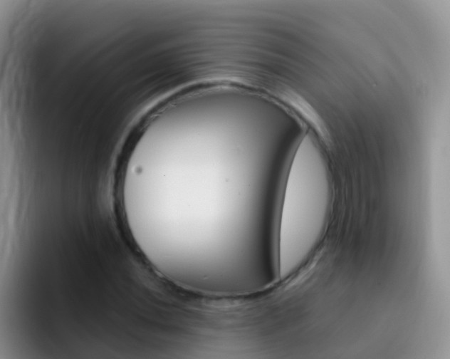 X0000092301020200709140955